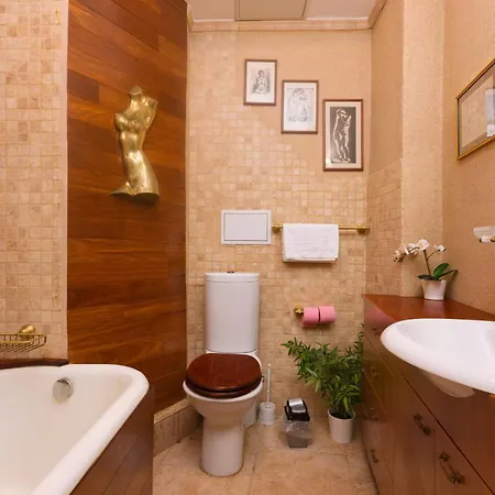 Classic Elegant - Calea Victoriei - Pumo * 布加勒斯特
